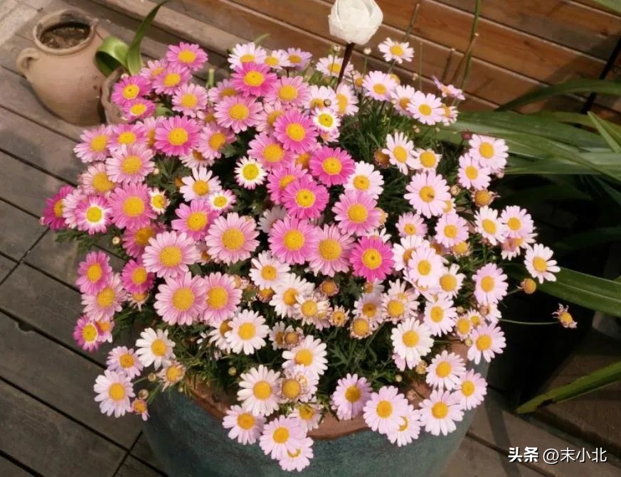 人到中年应该控制欲望享受孤独,人到了中年一定要懂得控制欲望