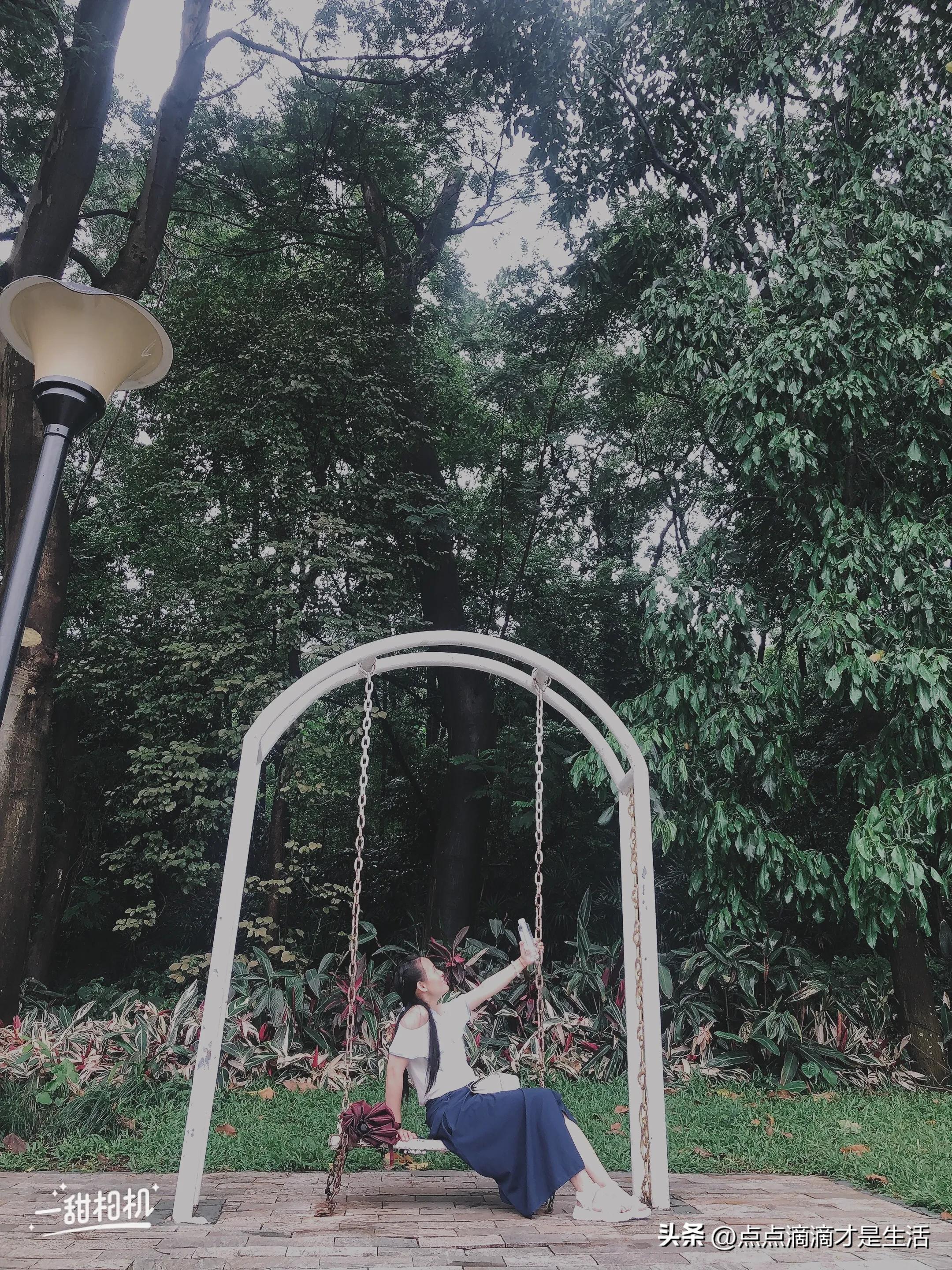 广州云台最美的花园,广州白云云台花园拍照