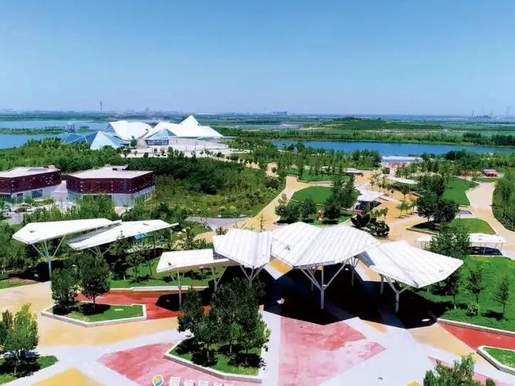 在东营五一假期应该去哪玩,东营人五一旅游攻略自由行