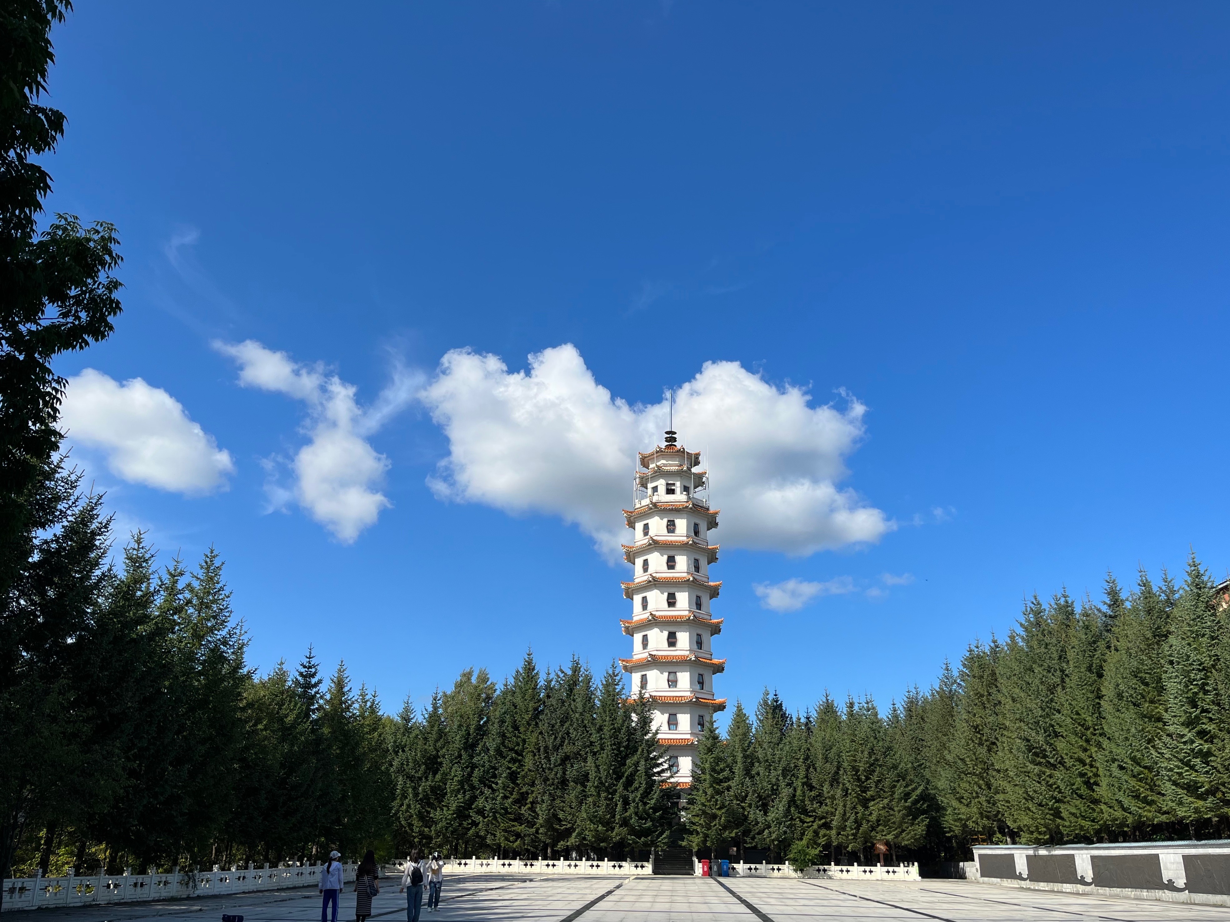 夫妻自驾11000公里,夫妻两人自驾游最新视频