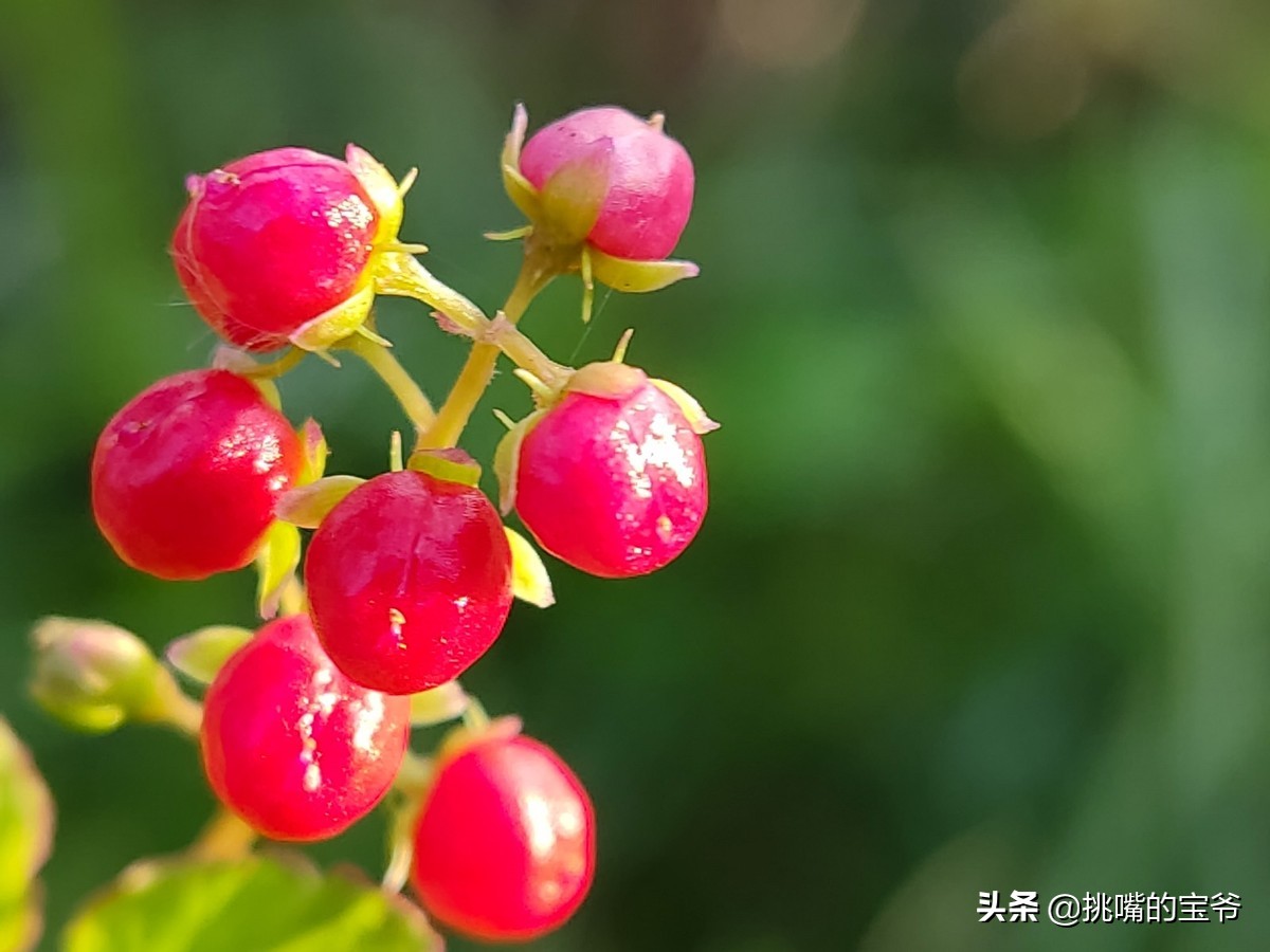 国土面积小于三万的国家,国土面积不足的省
