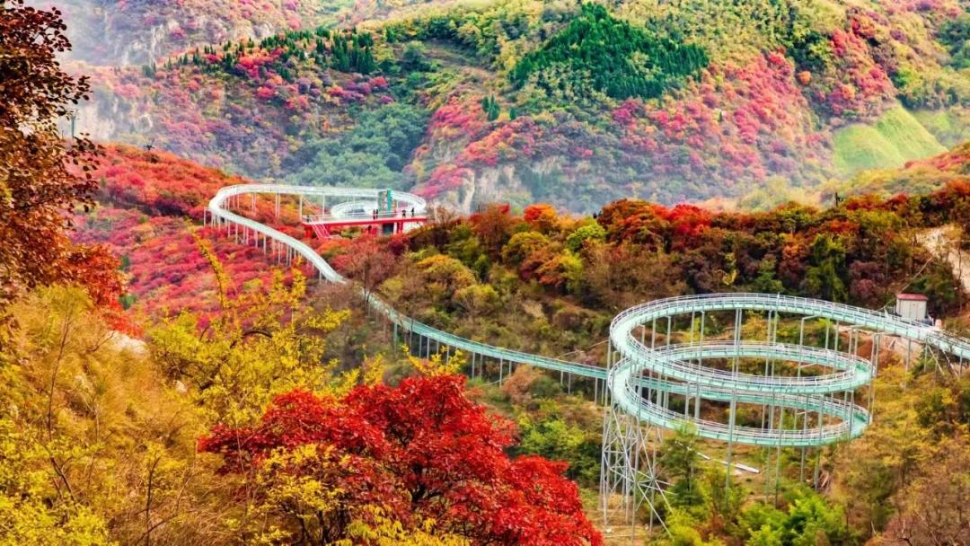 沂蒙乡村振兴学习感悟,乡村振兴看沂蒙专题