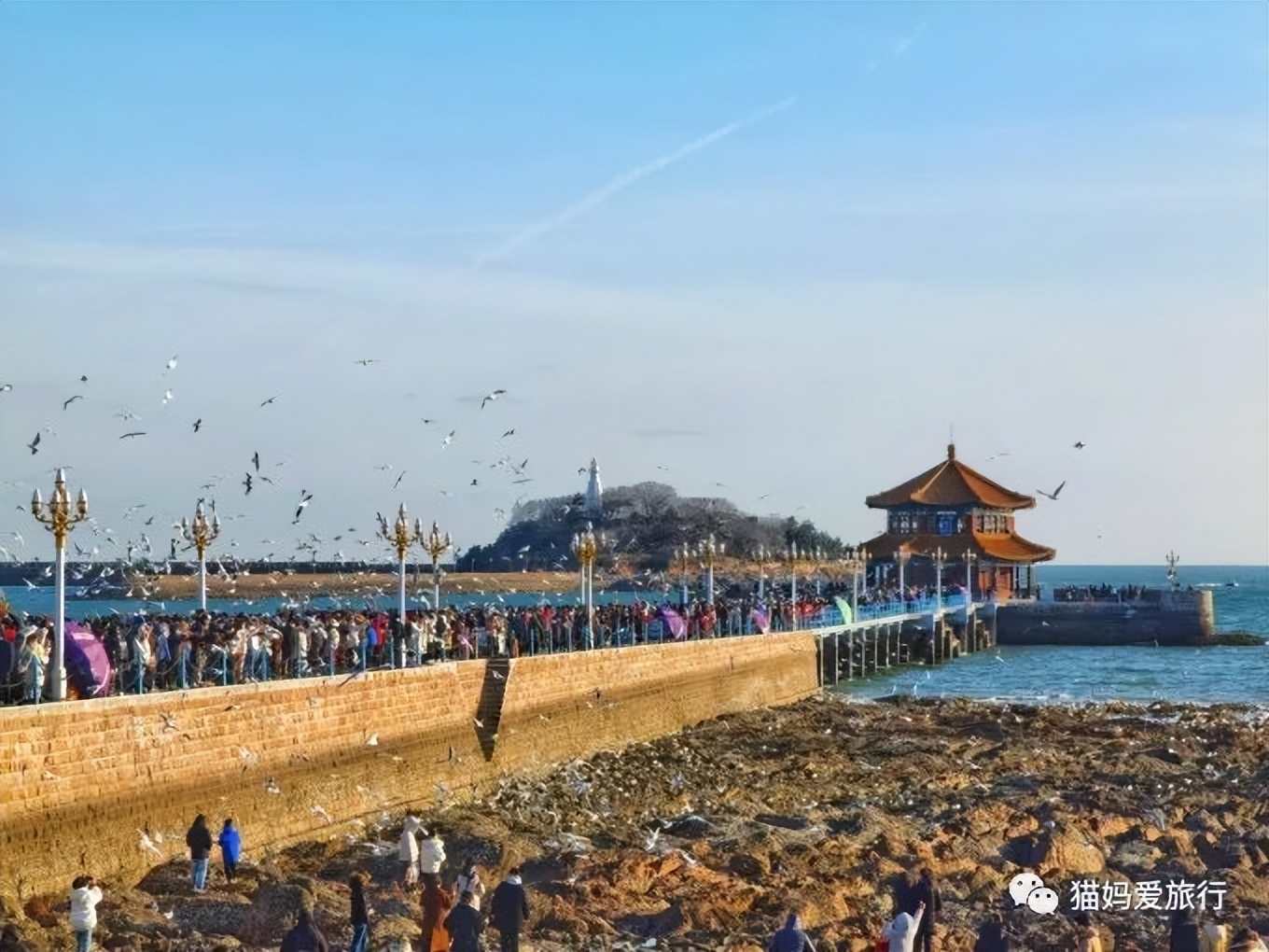 青岛过年遛娃好去处,青岛遛娃圣地