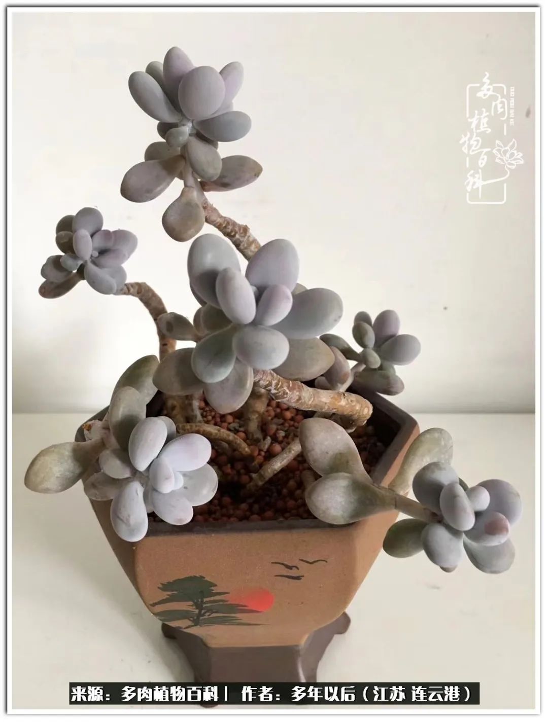 我若不弃，愿你不负我所期