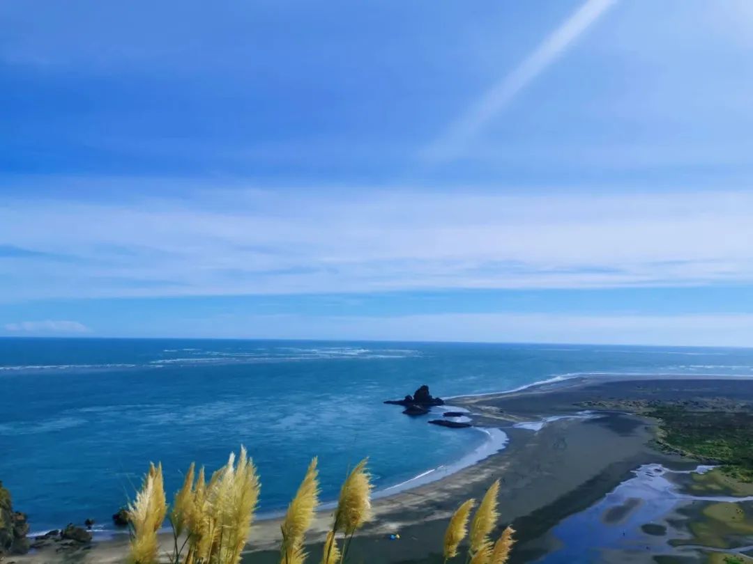 95后特特在新西兰：进厂切白菜，月入2万，感染新冠领千元补贴