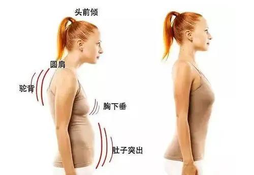 心脏病后背痛和肺癌后背痛的区别,58岁后背疼痛怎么回事