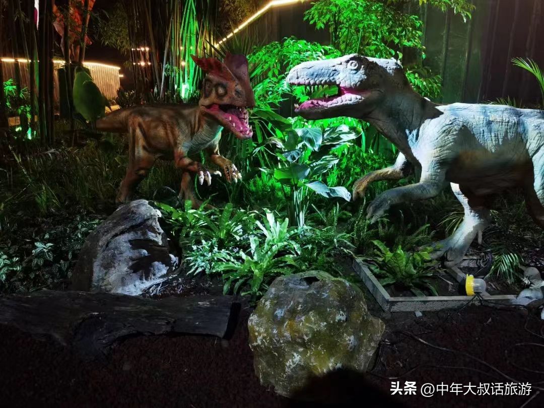 成都到崇州加勒比冒险水世界路线,崇州加勒比探险乐园水世界