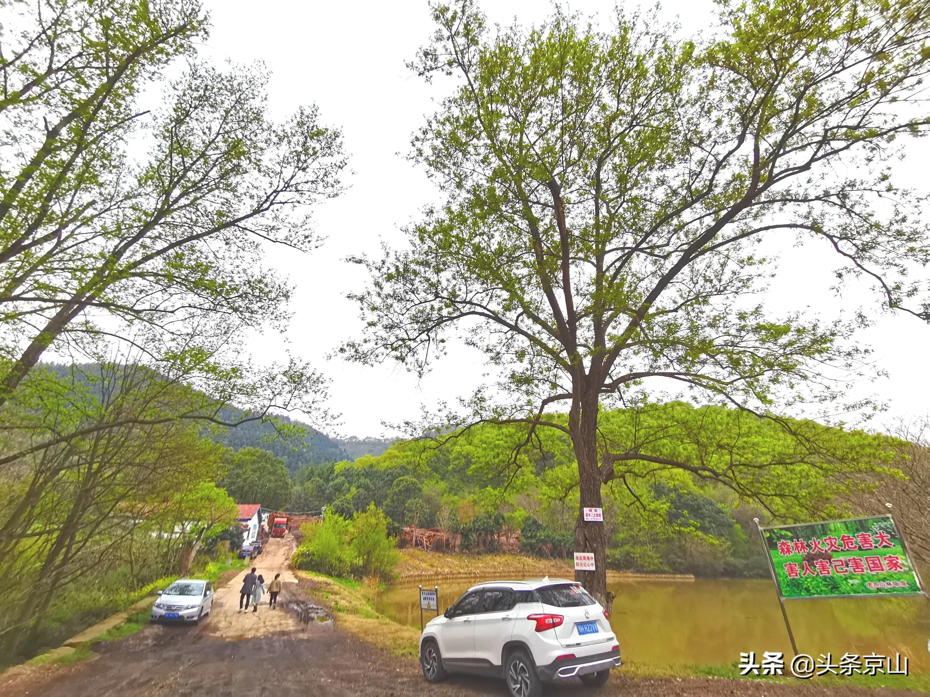 城市风光京山 (京山好风光)