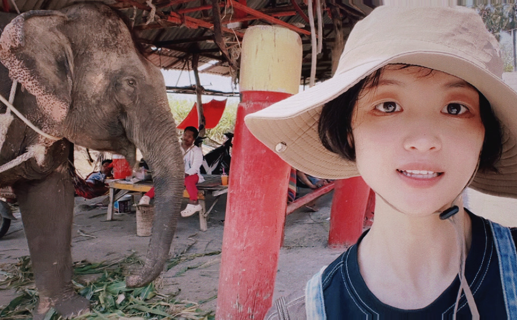 坐泰国火车,泰国坐火车需多少钱啊