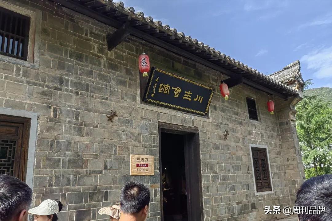 诸暨千年茶树王,走进古树茶王