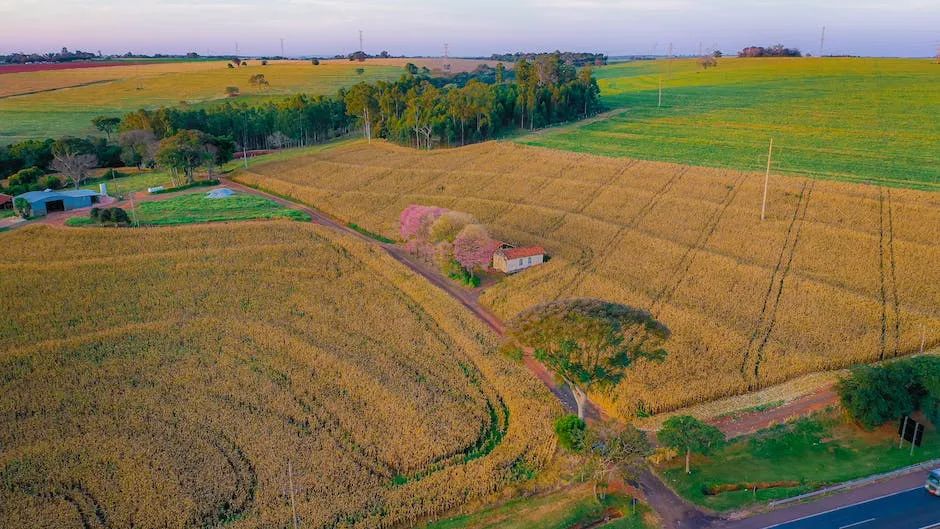 现在年轻人最好的赚钱行业是什么,目前的十大赚钱方法