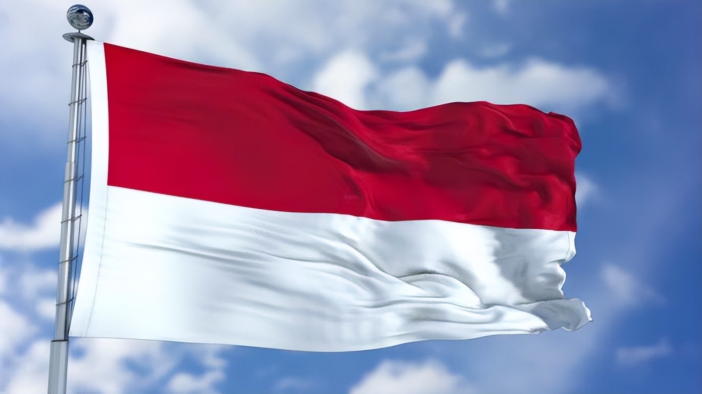 大巴黎惨败摩纳哥,摩纳哥没有军队吗