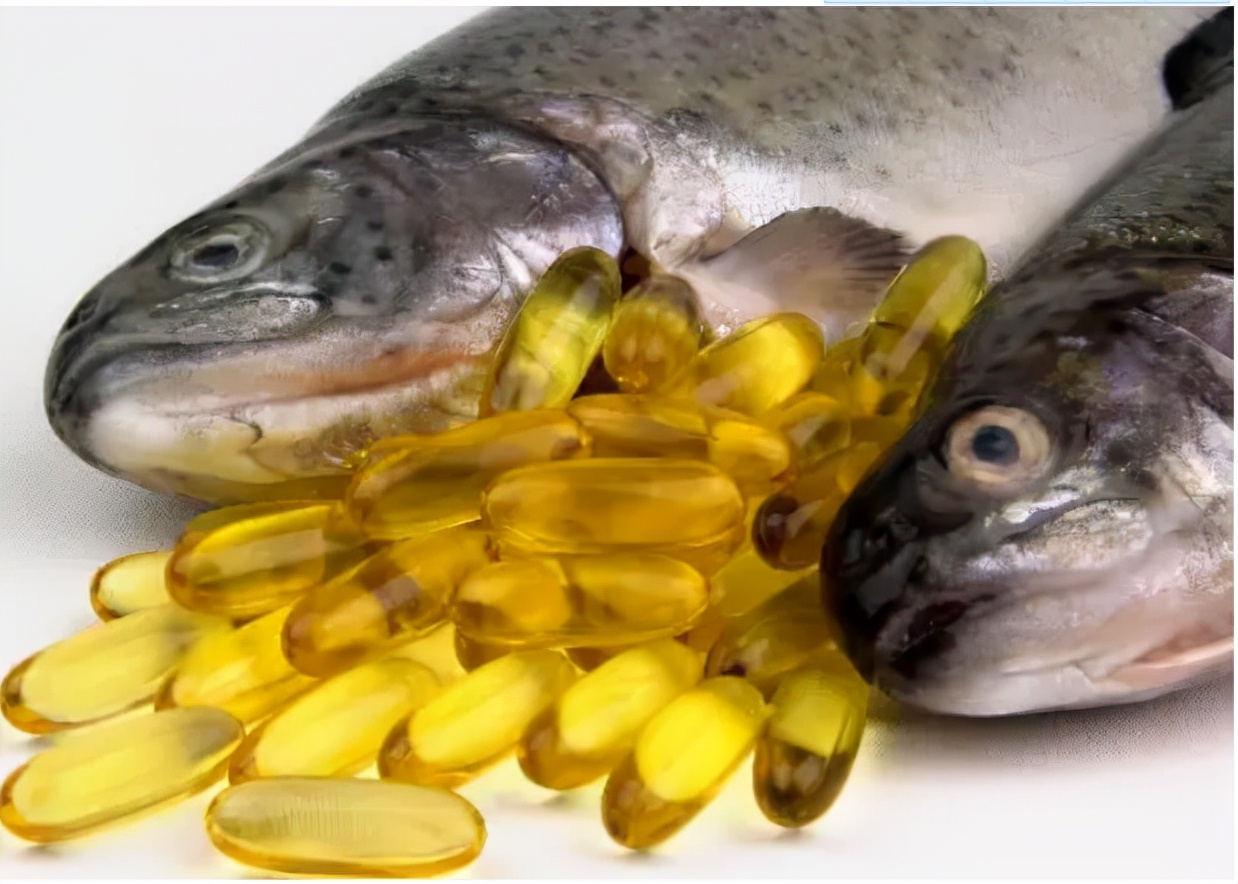 鱼油鱼肝油别再傻傻分不清,鱼油鱼肝油与鲨鱼肝油
