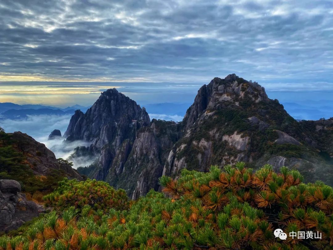 歙县记者节,记者采访风景视频素材
