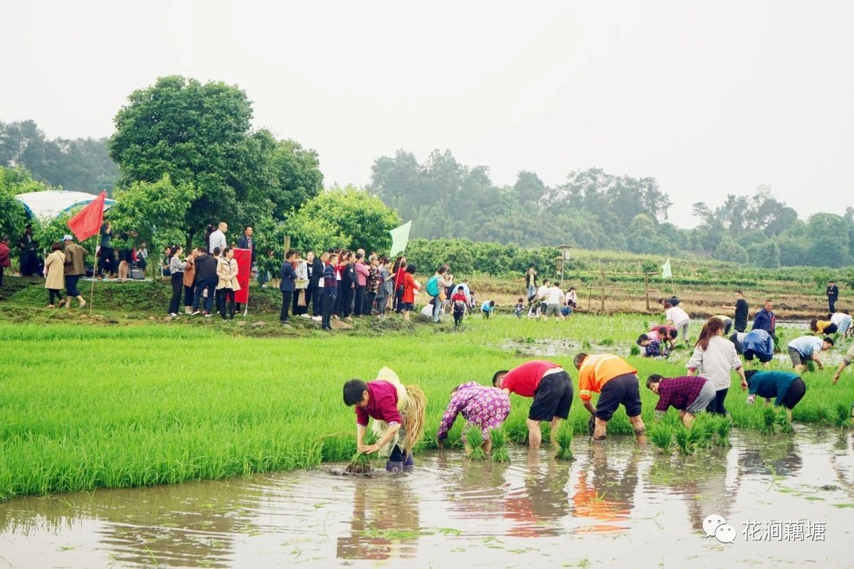 【五四-非遗青年特辑】伍茂源：辞掉“铁饭碗”，到村里创业去