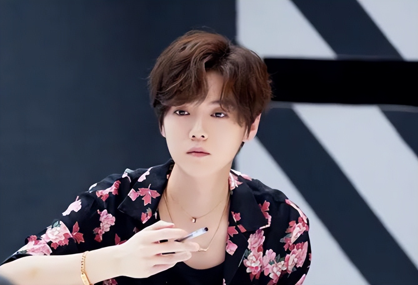 鹿晗为什么能预测世界杯冠军,世界杯冠军鹿晗预测