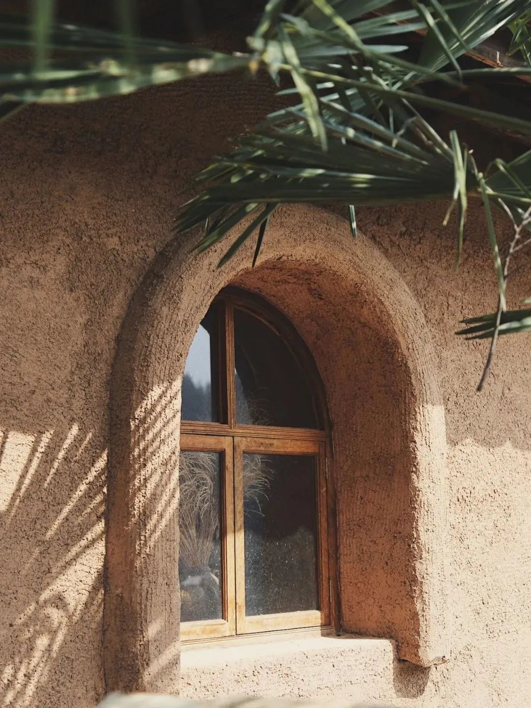 裸辞女教师云南,辞职女教师隐居山村多年