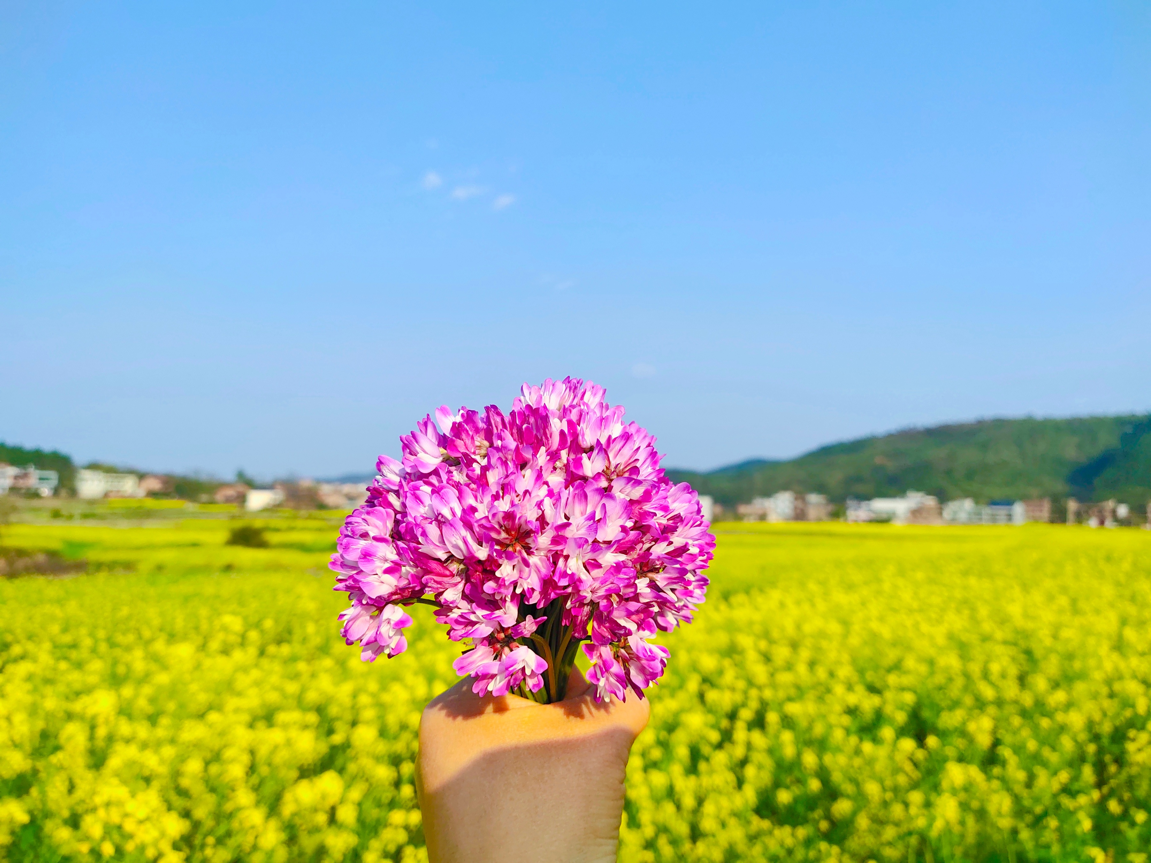 相亲见面两次可以发展到什么地步,同一个相亲对象介绍两次
