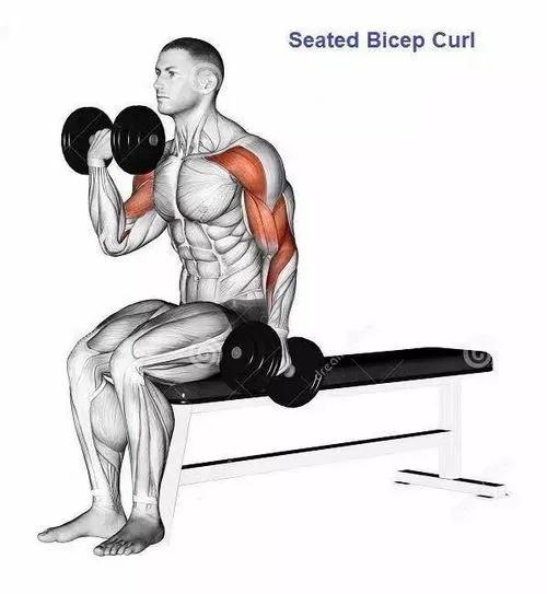 一周健身增肌训练计划,哑铃家庭一周训练计划