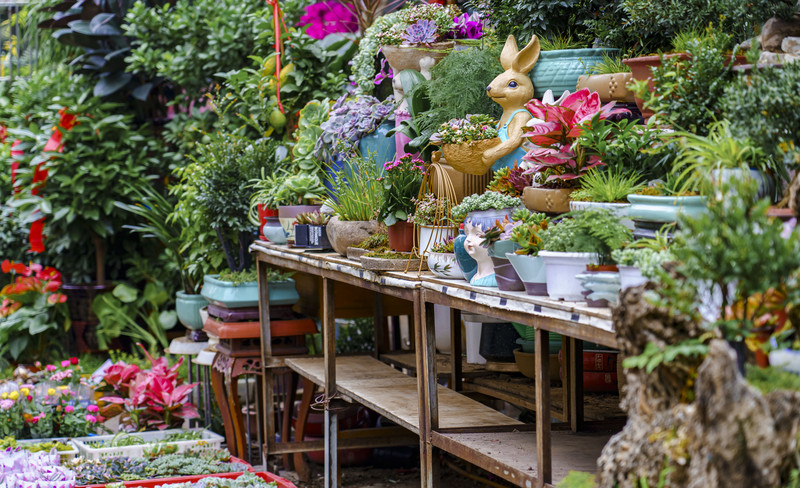 打卡安庆古城,安庆旅游和美食