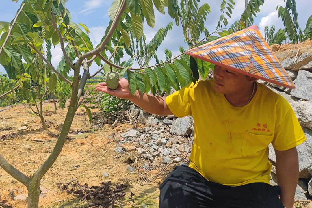 百千万工程助力乡村振兴惠州,百千万工程助力乡村振兴中山