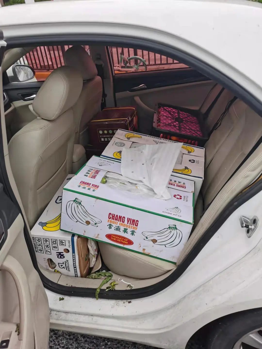 杨浦砺剑1号整治行动,上海警方砺剑1号行动扫黄