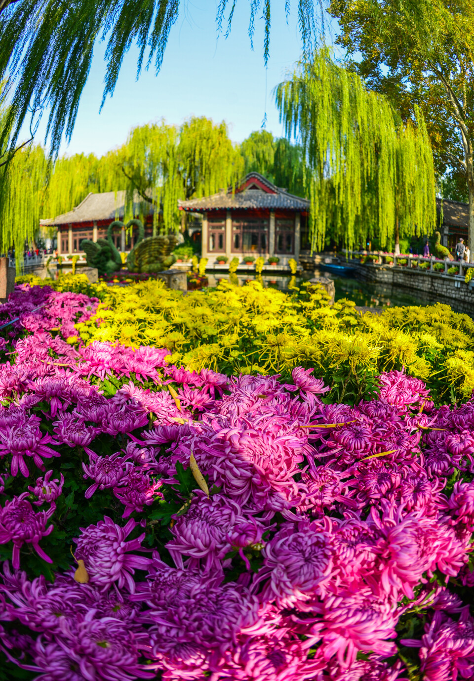 济南小众但是值得一去的地方,济南小众打卡圣地冬季