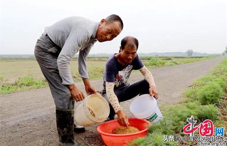 农业种植致富奔小康,特色种植助力农民致富行动