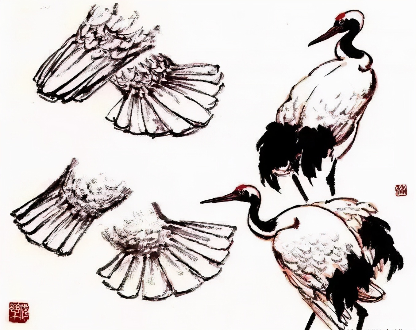 最简单的仙鹤画法,有关仙鹤的简单画法