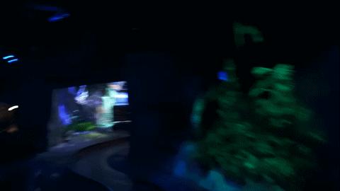 十部顶级丛林冒险电影勇敢者游戏,勇敢者游戏主题公园