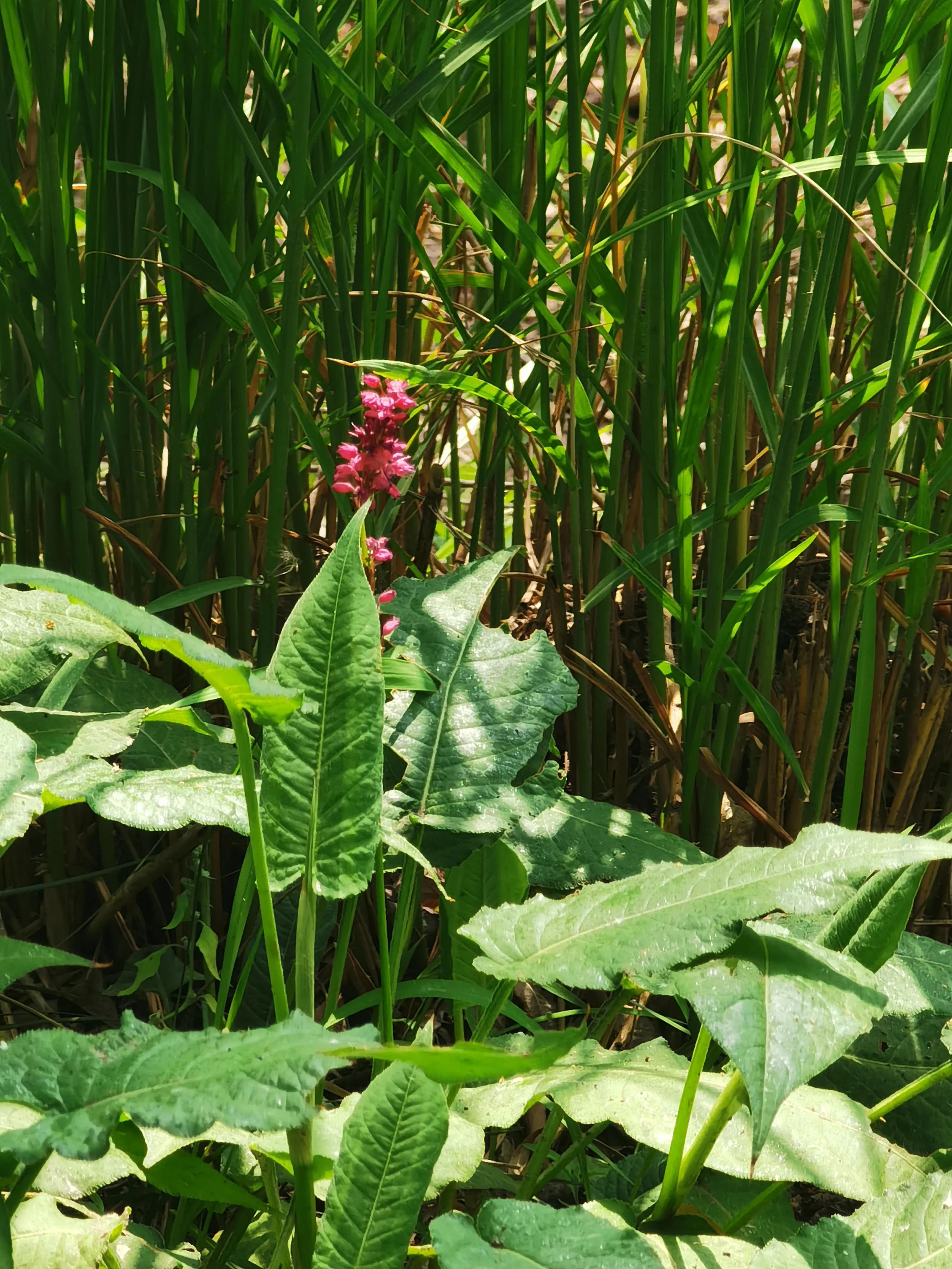 生活日记家的味道,生活札记300字