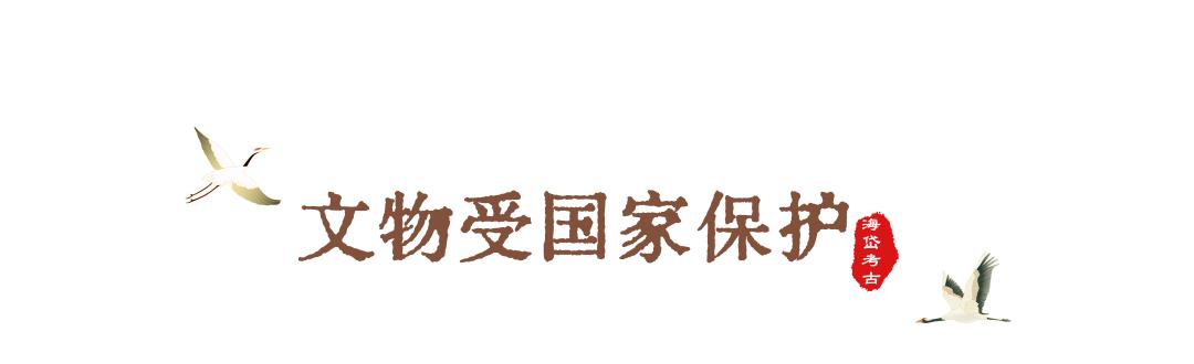 什么是*物文**，一起来学习！