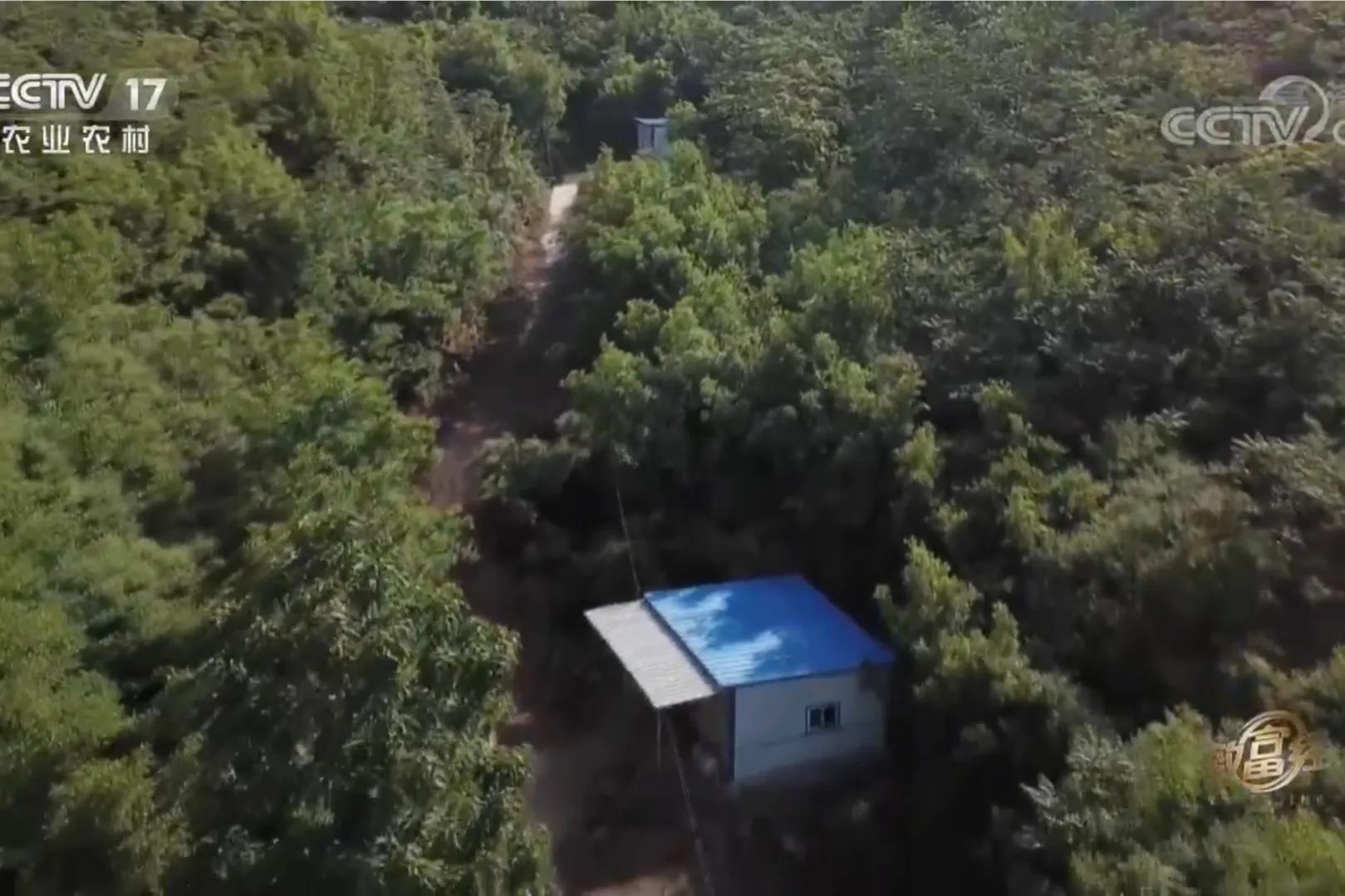 200亩荒山变成聚宝盆,荒山摇身一变成村民聚宝盆