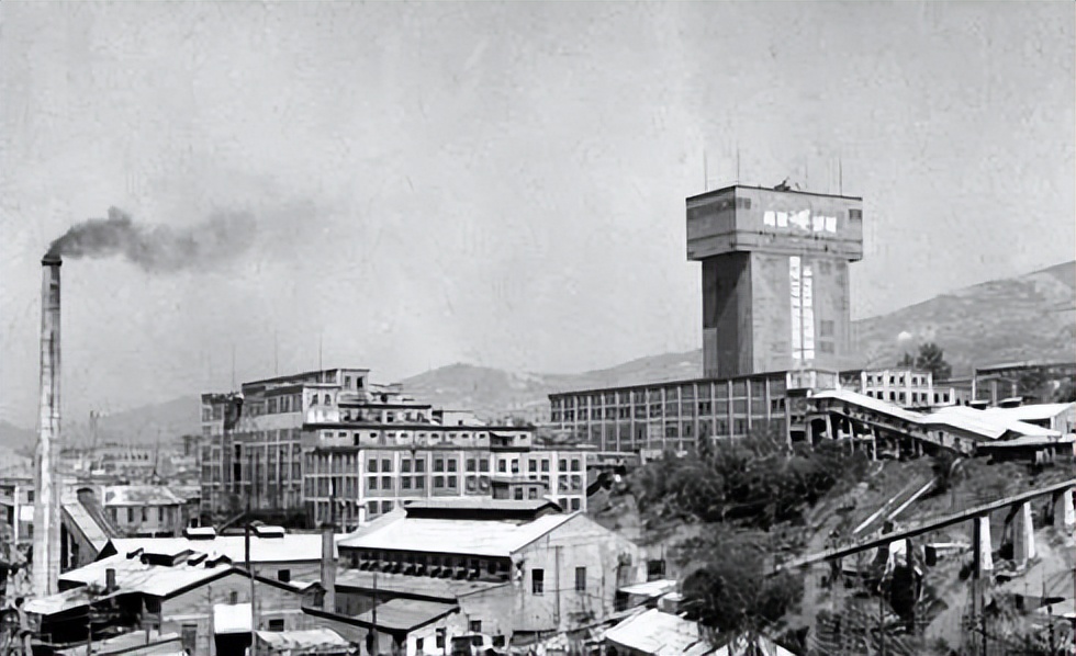 被拐卖的奶奶22年,被拐卖的奶奶后续