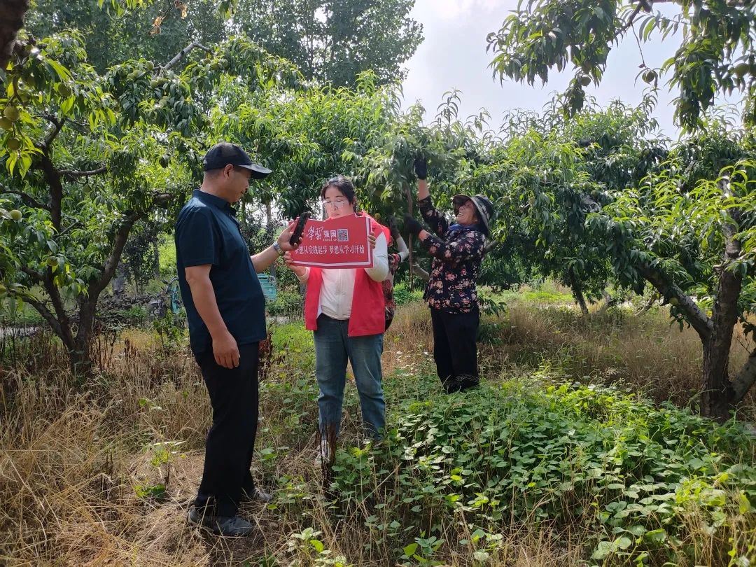 【“学习强国”在兰山】半程镇团埠子村：从“指尖”到“身边”“学习强国”进田间