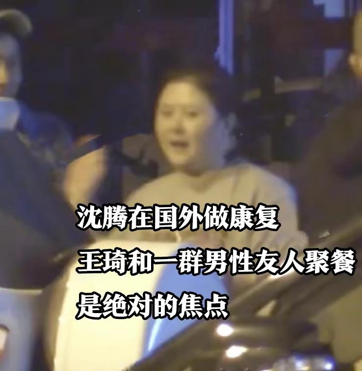 沈腾王琦婚变升级！日媒曝沈腾病情恶化或将退圈，王琦分上亿财产