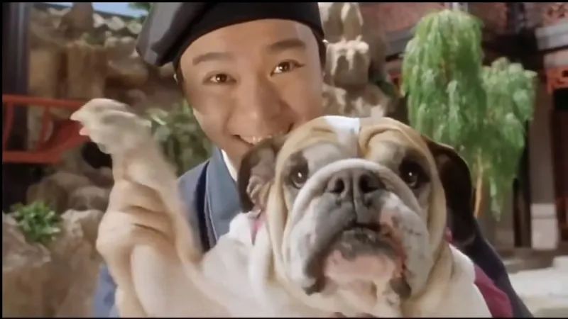 平平无奇一张合照，里面这个竟然价值百万！