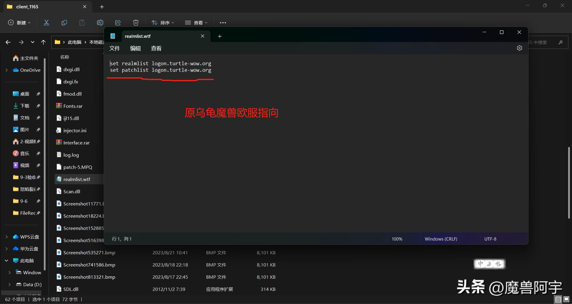 乌龟服亚服高清客户端,最新乌龟服亚服客户端怎么下