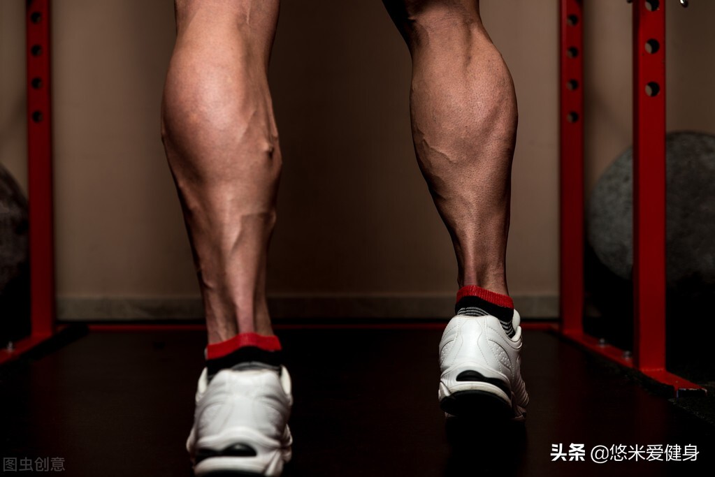 腿部和肩部的训练教程,腿肩健身训练计划