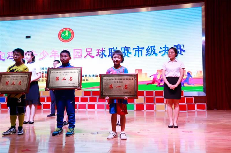 宝鸡高新十小乙组足球比赛,宝鸡二小学校足球比赛