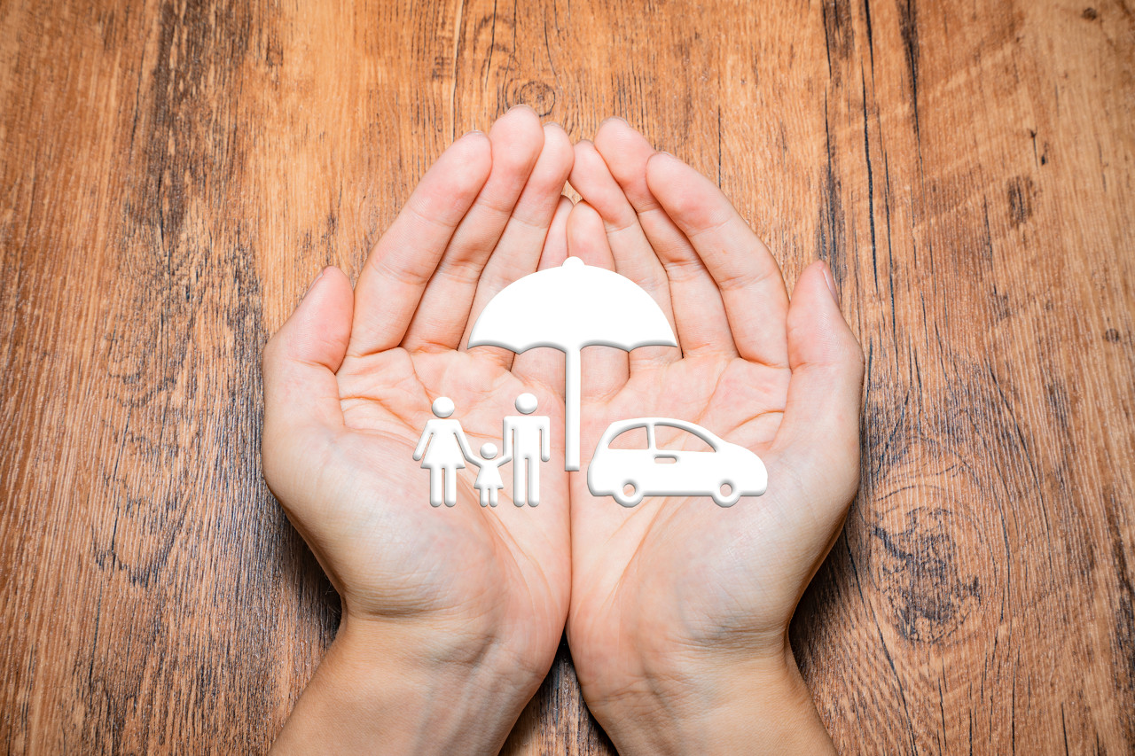 11月汽车销量排行榜哪个比较权威,最新11月份汽车销量排行榜