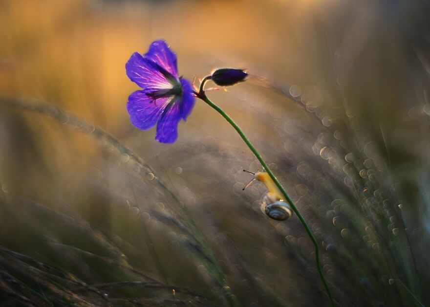 大自然的美景秋天摄影照片,美丽的大自然春夏秋冬图片大全