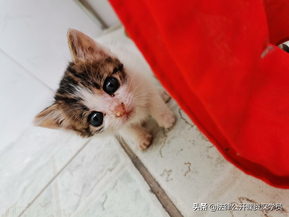 万科物业退场通知函,万科退场公告