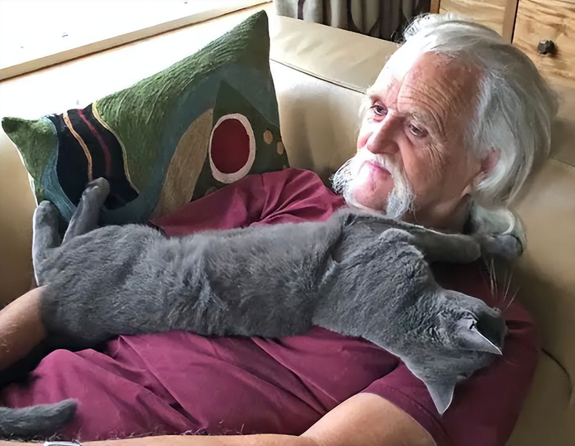 养猫的呼噜声音 (养猫呼噜的声音)