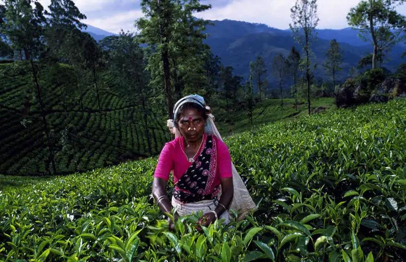 斯里兰卡宣布破产我们怎么办,斯里兰卡破产后的生活