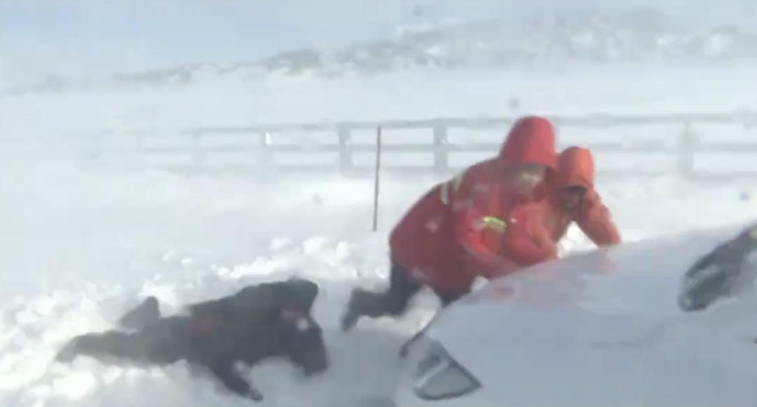 感动到哭的少儿小视频,能让人哭的小视频