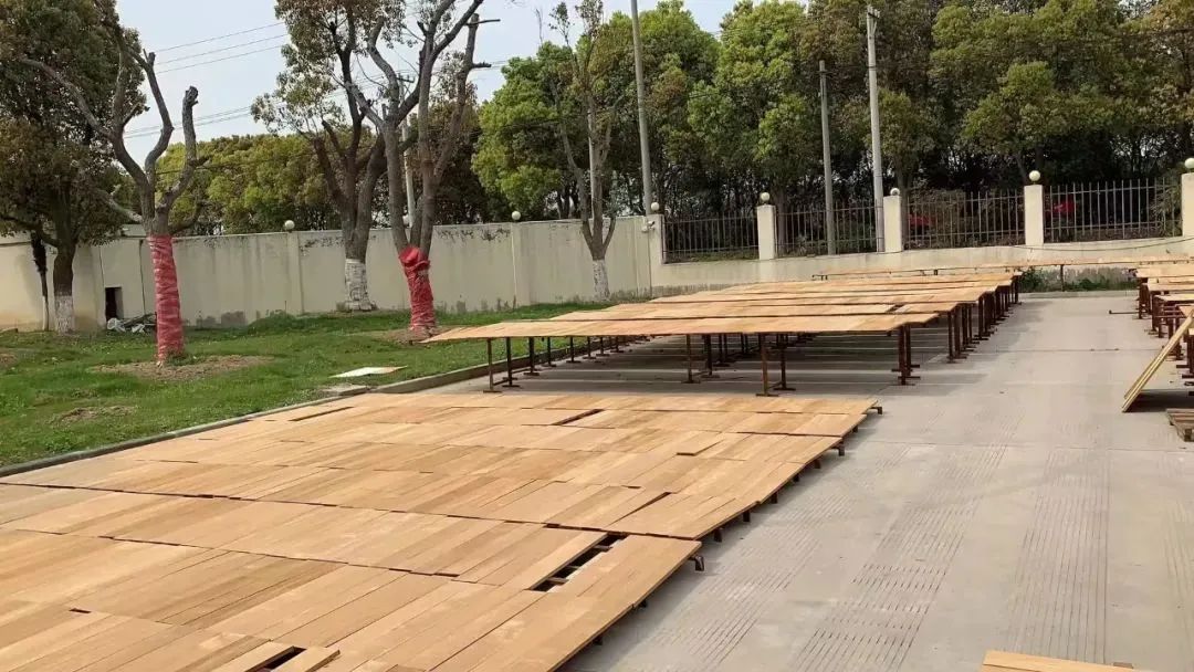 天生王者下一句,天生王者免费阅读