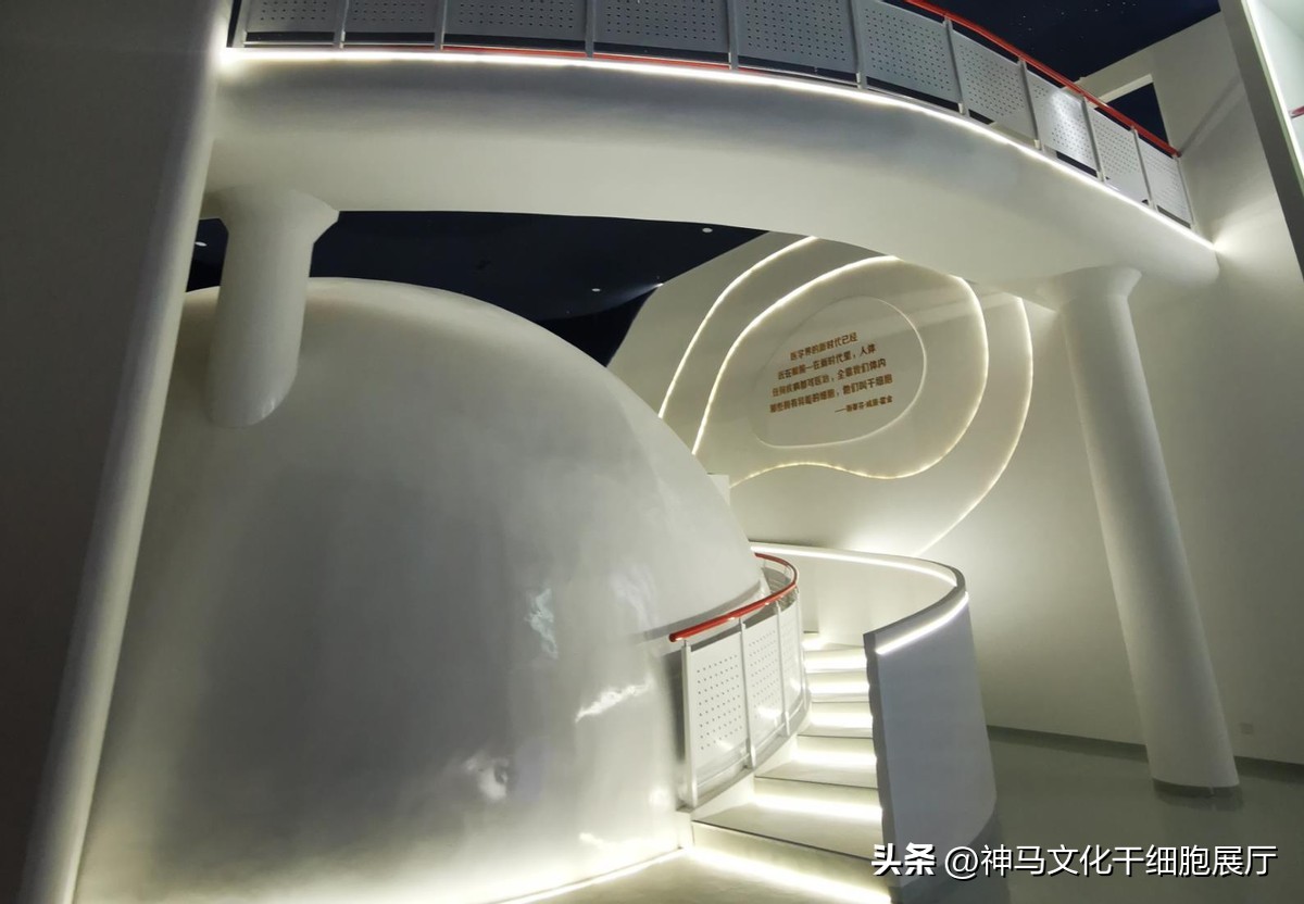 干细胞展厅生命科学馆案例展示,干细胞全息投影展厅