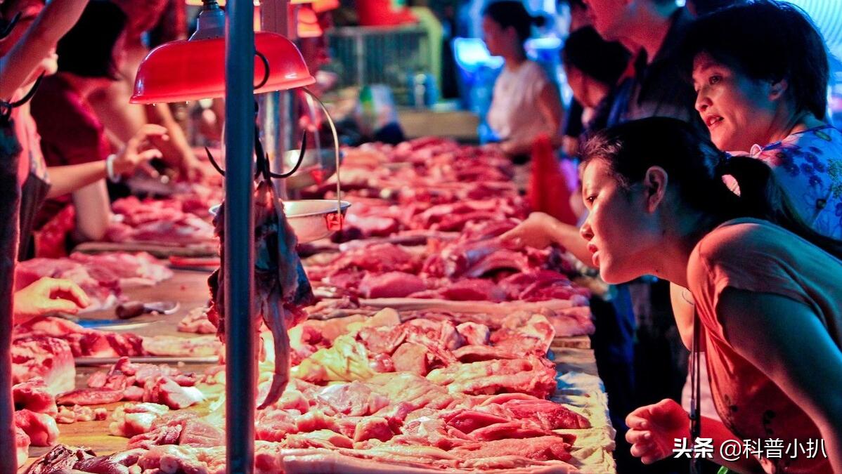 小伙救蛇后多年后蛇报恩,女子救蛇多年后长成巨蛇