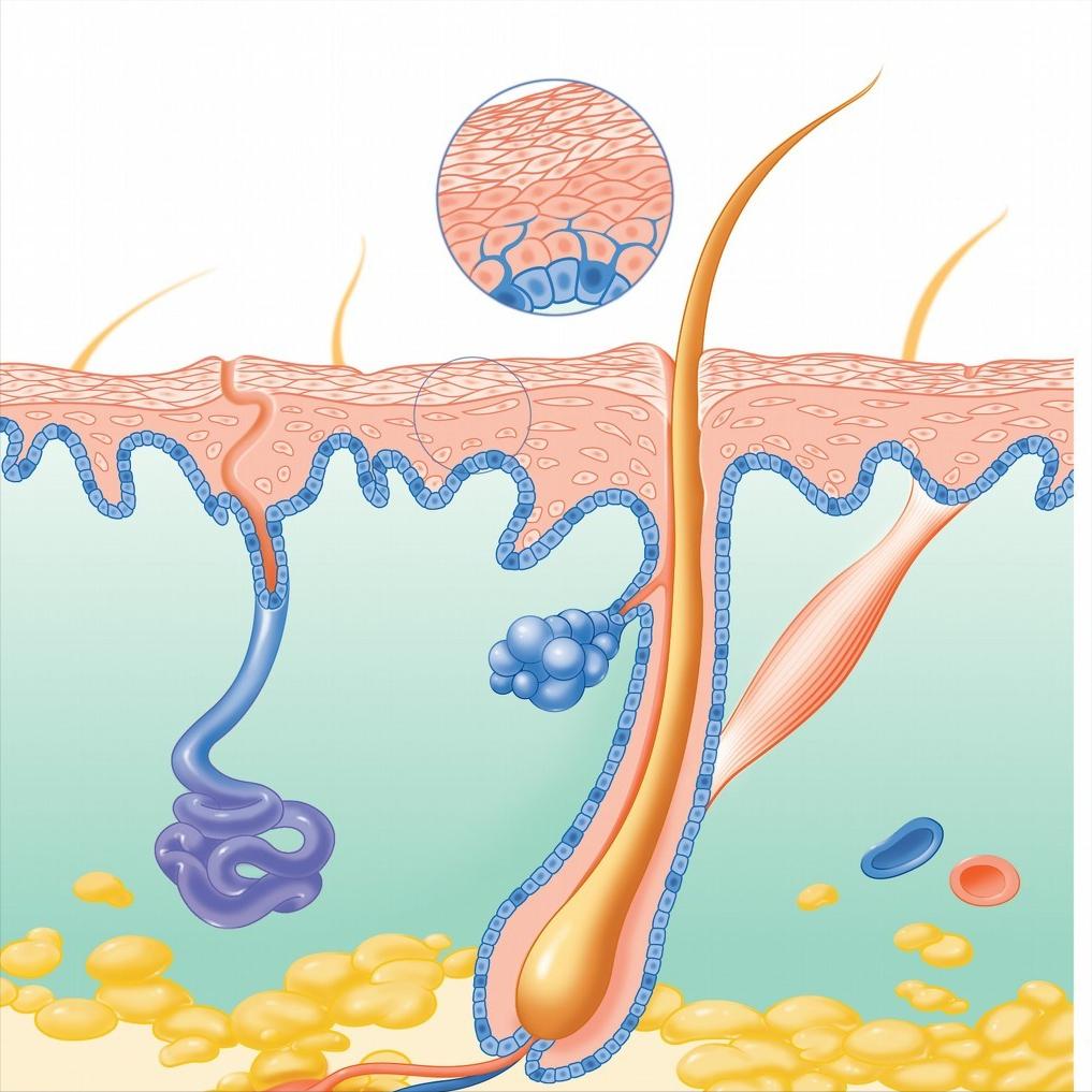 裸睡，真的那么“神奇”吗？医生坦言：裸睡虽好，但这些也要注意